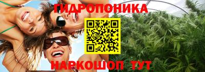 мдпв Донской