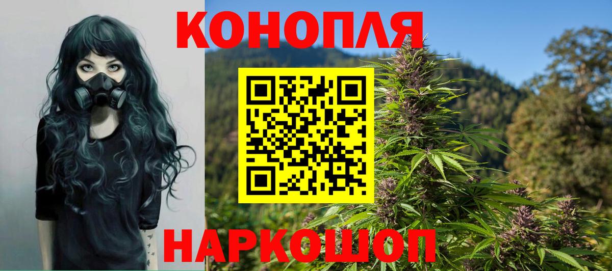 МАРИХУАНА планчик  Вход с VPN  Бошки марихуана THC 21%  Лесной  Каннабис OG Kush  Канабис планчик 